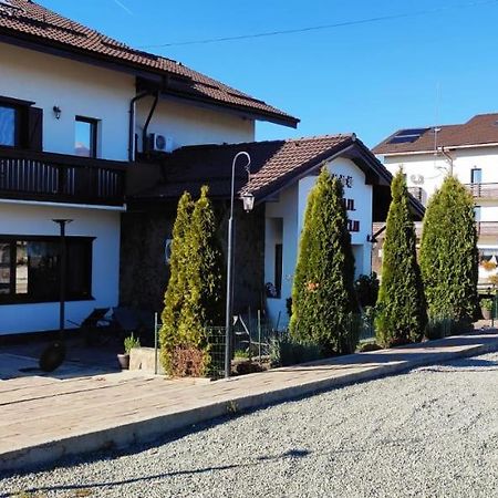 Complex Transalpina Hotel Aninisu din Vale Exterior photo