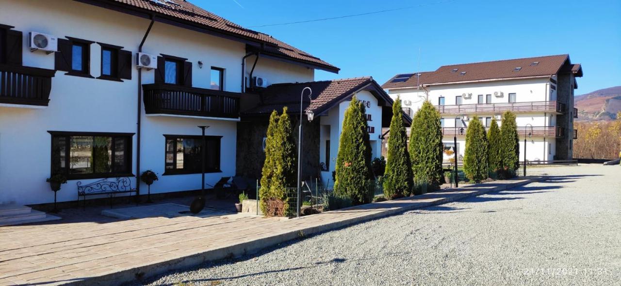 Complex Transalpina Hotel Aninisu din Vale Exterior photo