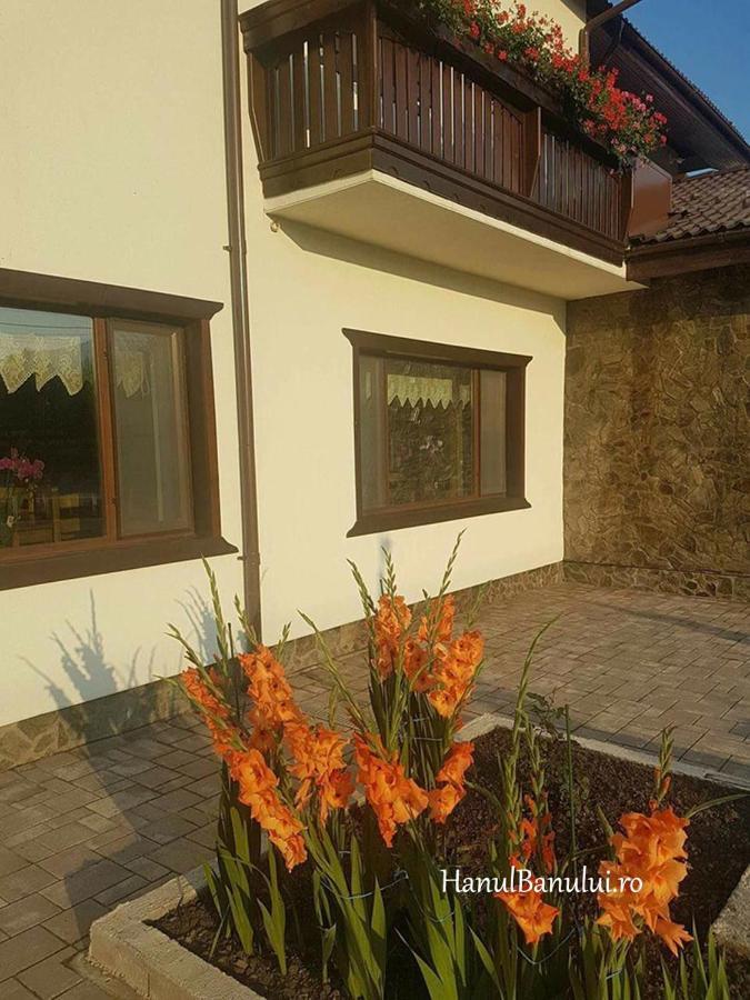 Complex Transalpina Hotel Aninisu din Vale Exterior photo